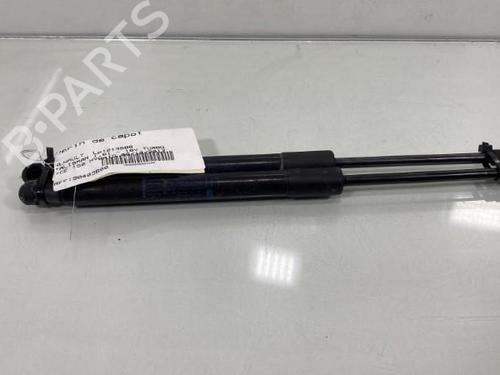 Hood lift support RENAULT TALISMAN (LP_) 1.6 TCe 150 | BP19949492C139 