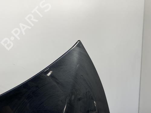 Hood JAGUAR S-TYPE II (X200) 2.7 D | BP19999065C1 