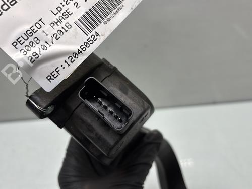 Used Pedal Pedal PEUGEOT 3008 I MPV (0U_) 1.2 (131 hp) 32321291 32321291