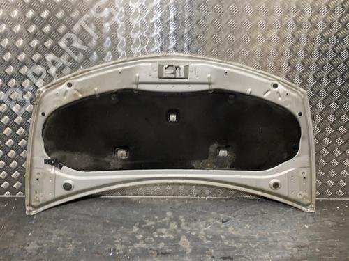 Hood RENAULT CLIO III (BR0/1, CR0/1) 1.5 dCi (C/BR0G, C/BR1G) | BP21955702C1