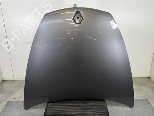 Used Hood RENAULT LAGUNA Coupe (DT0/1) 2.0 dCi (DT01, DT08, DT09, DT0K, DT12, DT1C, DT1D, DT1M,... (150 hp) 30698765