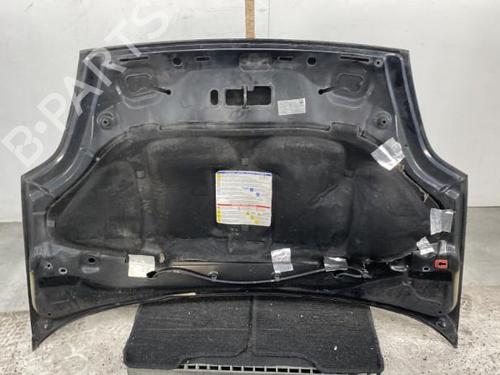 Hood FIAT GRANDE PUNTO (199_) 1.4 16V (199BXG1B, 199AXG1B) | BP20182802C1