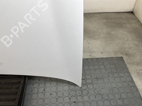 Hood RENAULT CLIO II (BB_, CB_) 1.2 16V (BB05, BB0W, BB11, BB27, BB2T, BB2U, BB2V, CB05,... | BP30171592C1 