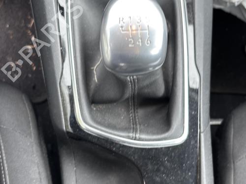 Left rear door PEUGEOT 308 II (LB_, LP_, LW_, LH_, L3_) 1.6 BlueHDi 120 | BP29999554C4