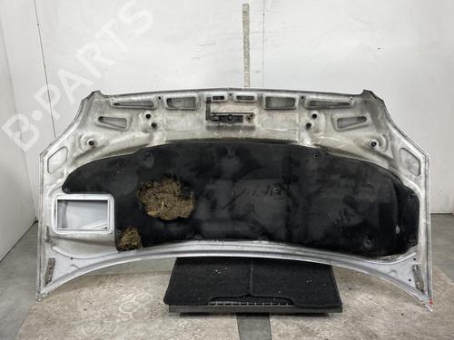 Hood MERCEDES-BENZ SPRINTER 3,5-t Van (B906) 311 CDI (906.631, 906.633, 906.635, 906.637) | BP30129381C1