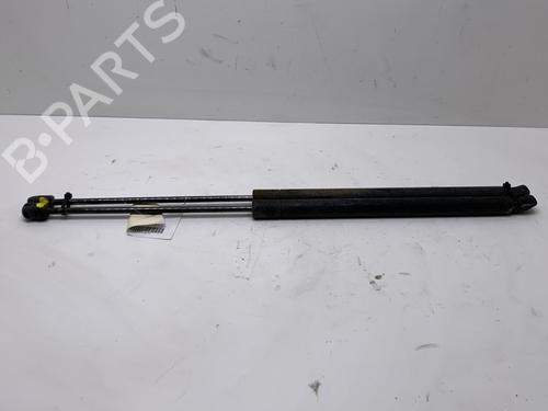 Tailgate lift support FORD S-MAX (WA6) 2.0 TDCi | BP19978347C138 