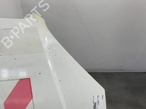 Hood FIAT DOBLO Box Body/MPV (223_) 1.3 D Multijet | BP19963927C1 