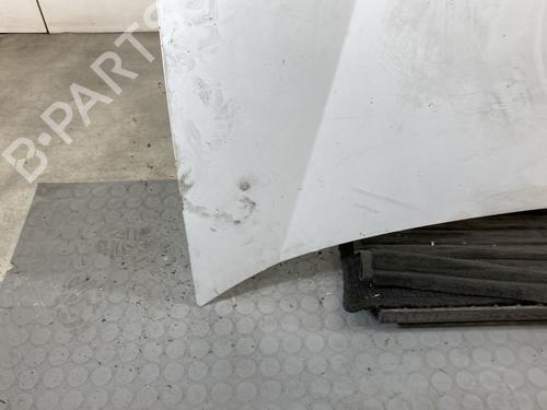 Hood RENAULT KANGOO (KC0/1_) D 55 1.9 (KC0D) | BP23440988C1