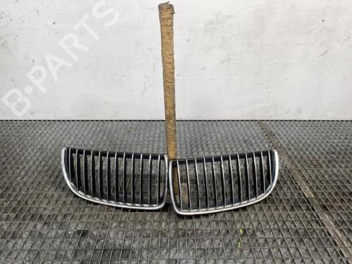 Used Grille BMW 3 Touring (E91) 320 d (163 hp) 20642345