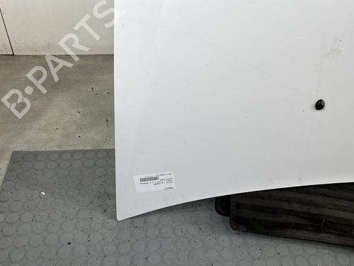 Hood DACIA LOGAN (LS_) 1.4 (LS0A, LS0C, LS0E, LS0G) | BP31717529C1 