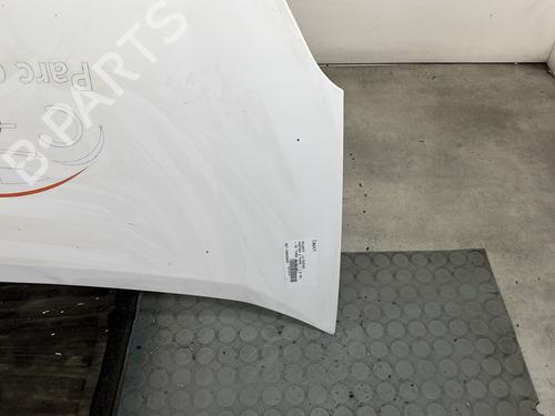 Hood PEUGEOT PARTNER Tepee 1.6 HDi | BP29525266C1 