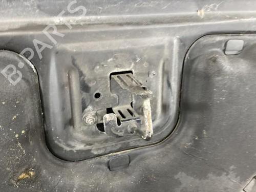 Hood FORD FOCUS C-MAX (DM2)  | BP19969542C1 