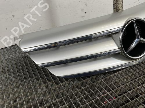 Grille MERCEDES-BENZ B-CLASS Sports Tourer (W245) B 180 CDI (245.207) | BP29609897C40 