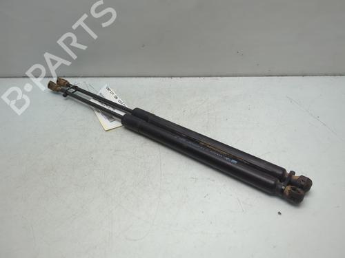 Tailgate lift support RENAULT CLIO IV (BH_) 1.2 16V | BP25592340C138 