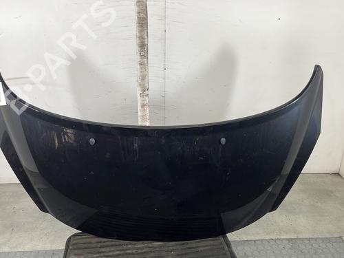 Used Hood PEUGEOT 207 (WA_, WC_) 1.4 HDi (68 hp) 30059757