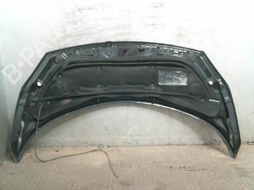 Hood RENAULT GRAND SCÉNIC II (JM0/1_)  | BP20003299C1 