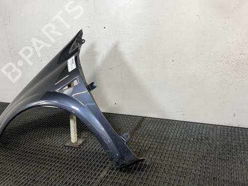 Left front fenders RENAULT MEGANE II Estate (KM0/1_) 2.0 | BP20716760C41 