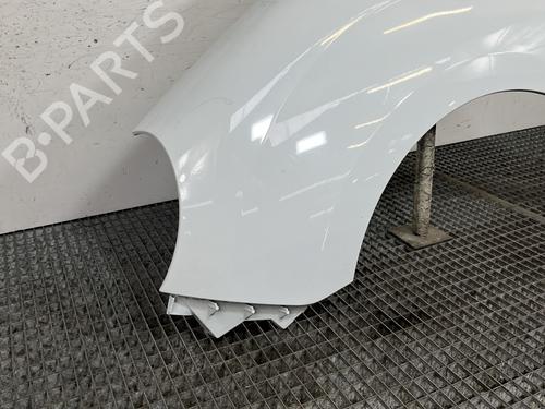 Left front fenders RENAULT KANGOO / GRAND KANGOO II (KW0/1_) 1.5 dCi 90 (KW05, KW08, KW0G, KW11) | BP29352846C41 