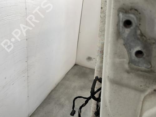 Left front door FIAT DUCATO Van (250_) 100 Multijet 2,2 D | BP24884256C2 