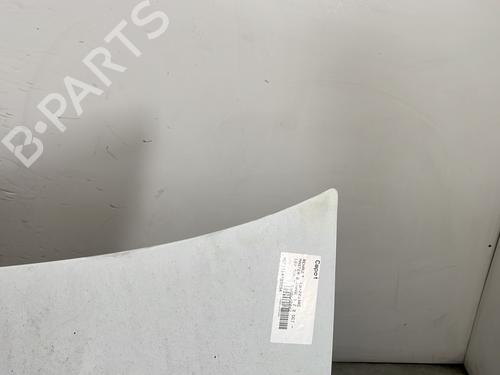 Hood RENAULT MASTER II Platform/Chassis (ED/HD/UD) 2.2 dCI 90 (ED0G, ED0N, HD0G, HD0N, HD1G, HD1N, UD0G,... | BP30059799C1 
