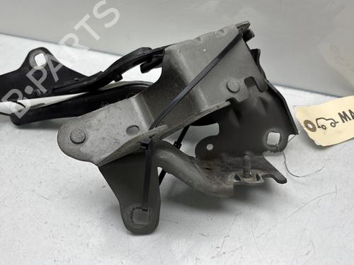 Hinge/Door check strap RENAULT LAGUNA Coupe (DT0/1) 2.0 dCi (DT01, DT08, DT09, DT0K, DT12, DT1C, DT1D, DT1M,... | BP29841530C146 