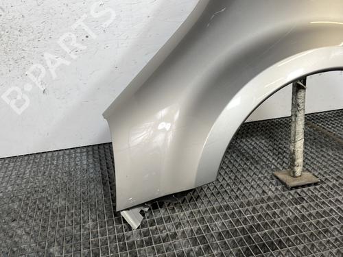 Left front fenders RENAULT MODUS / GRAND MODUS (F/JP0_) 1.5 dCi (JP0G, JP0H) | BP30169013C41 