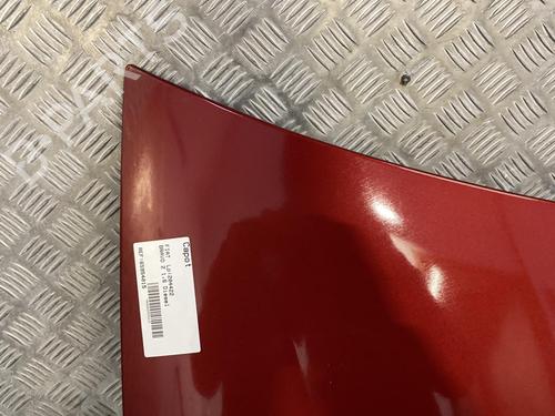 Hood FIAT BRAVO II (198_) 1.6 D Multijet (198AXM1B) | BP19996100C1
