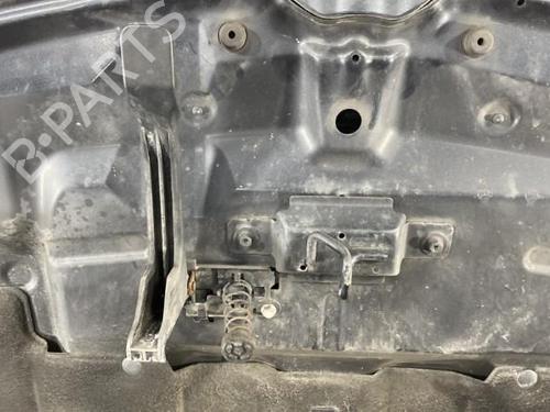 Hood RENAULT MEGANE III Hatchback (BZ0/1_, B3_) 1.5 dCi (BZ0C) | BP19950286C1 