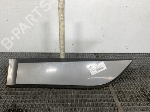 Used Door moulding trim RENAULT SCÉNIC III (JZ0/1_) 1.5 dCi (110 hp) 25304235