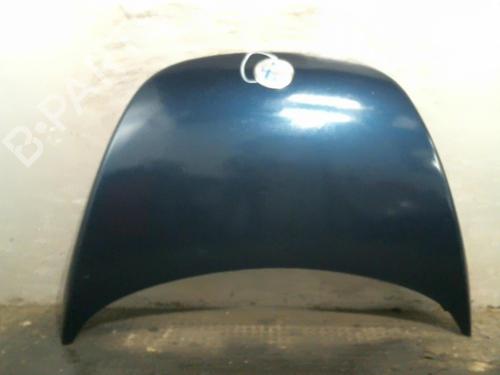 Panser VW NEW BEETLE (9C1, 1C1) 1.9 TDI (90 hp) 21951203
