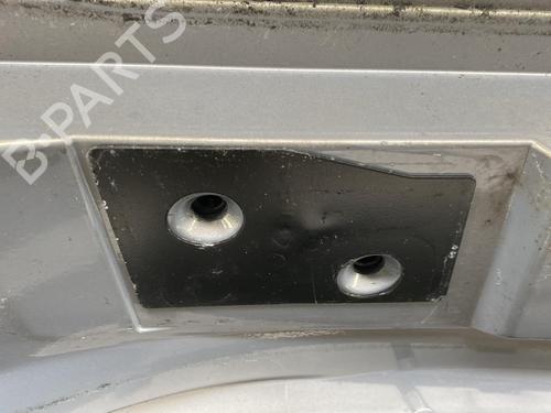 Tailgate RENAULT VEL SATIS (BJ0_) 2.2 dCi (BJ0E, BJ0F) | BP19994986C6 