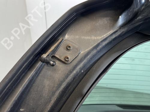 Tailgate RENAULT VEL SATIS (BJ0_) 2.0 dCi (BJ03, BJ0B) | BP31281680C6 