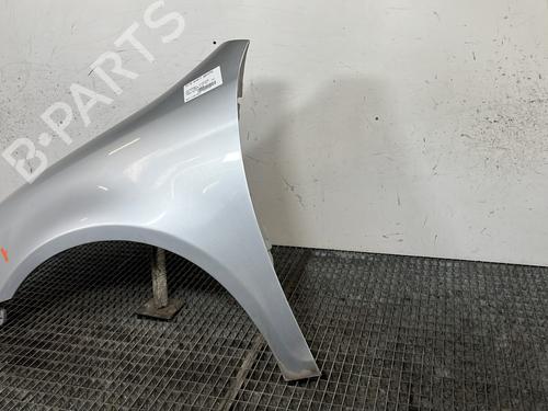 Left front fenders VW GOLF VI Variant (AJ5) 1.6 TDI | BP30082770C41 