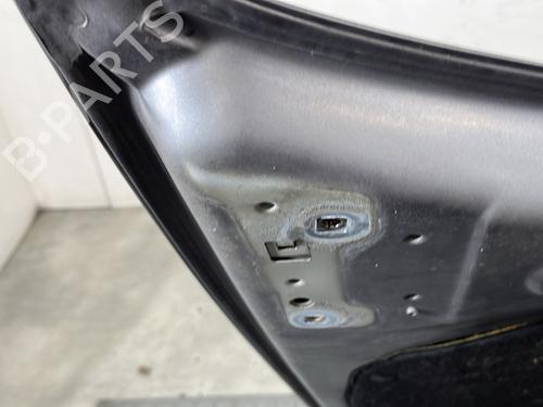 Hood RENAULT CLIO III (BR0/1, CR0/1) 1.5 dCi (C/BR0G, C/BR1G) | BP30720029C1