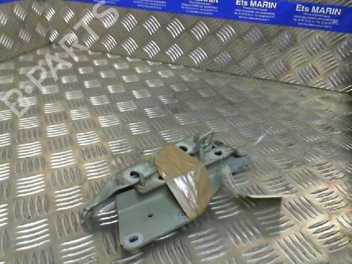 Used Hinge/Door check strap CITROËN C3 I (FC_, FN_) [2002-2013]  19986645