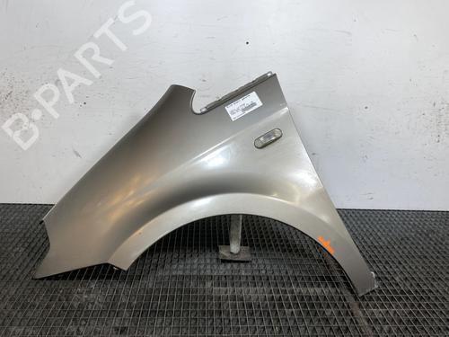 Used Left front fenders LANCIA MUSA (350_) 1.9 D Multijet (350.AXC1A) (101 hp) 23906500