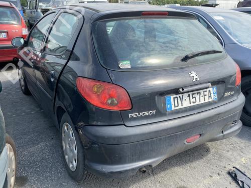 Right front door PEUGEOT 206 Hatchback (2A/C)  | BP19956771C3 