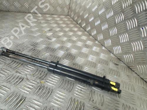 Used Hood lift support CITROËN C6 (TD_) 2.7 HDi (204 hp) 21956955