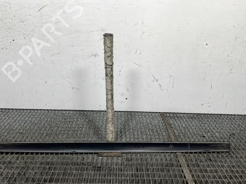 Door moulding trim RENAULT TWINGO I (C06_) 1.2 (C066, C068) | BP30181095C150