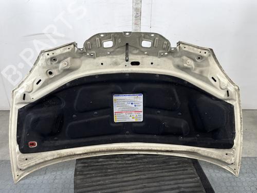 Hood LANCIA YPSILON (843_) 1.3 JTD (843.AXD11, 843.AXD1A) | BP29039329C1 