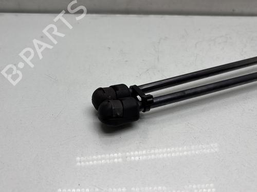 Hood lift support MERCEDES-BENZ M-CLASS (W164) ML 320 CDI 4-matic (164.122) | BP28519787C139 