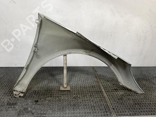 Left front fenders MERCEDES-BENZ R-CLASS (W251, V251) R 320 CDI 4-matic (251.022, 251.122) | BP21960045C41 