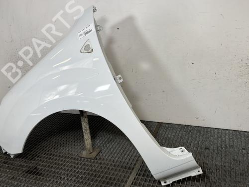 Left front fenders RENAULT KANGOO / GRAND KANGOO II (KW0/1_) 1.5 dCi 90 (KW05, KW08, KW0G, KW11) | BP29352846C41 