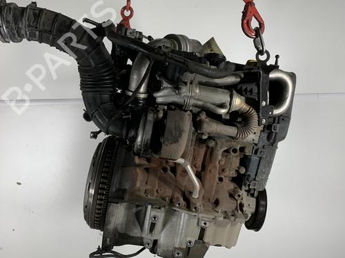 Used Engine RENAULT SCÉNIC III (JZ0/1_) 1.5 dCi (110 hp) 27342984