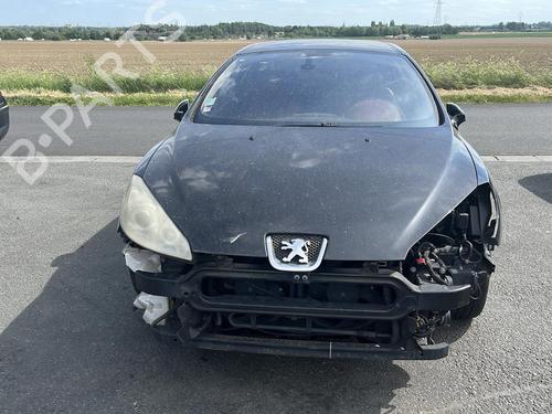 Door moulding trim PEUGEOT 407 Coupe (6C_) 2.7 HDi | BP29413697C150 