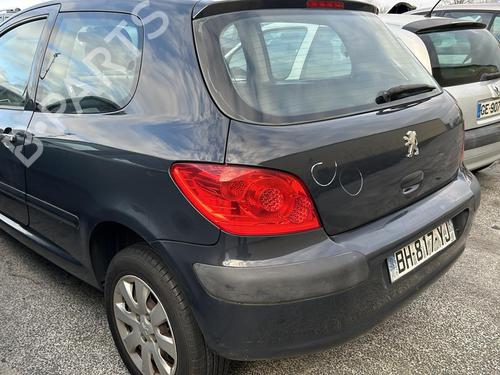 Left front door PEUGEOT 307 (3A/C) 1.6 16V | BP19953237C2 