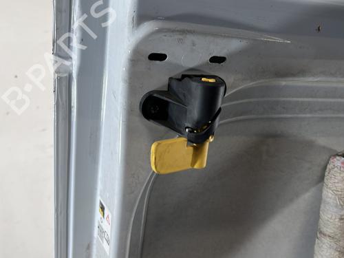 Left tailgate NISSAN PRIMASTAR Van (X82) 2.0 dCi 150 | BP32126138C76 