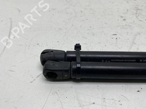 Used Tailgate lift support CHEVROLET AVEO / KALOS Hatchback (T250, T255) [2006-2025]  20008530