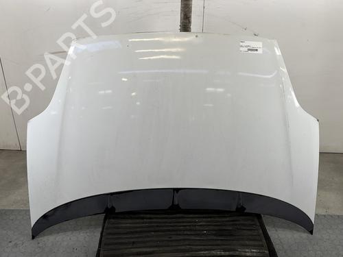 Used Hood FIAT GRANDE PUNTO (199_) 1.2 (65 hp) 32367965