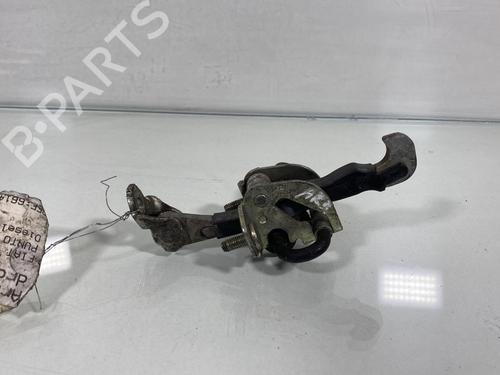 Hinge/Door check strap FIAT GRANDE PUNTO (199_)  | BP19986603C146 